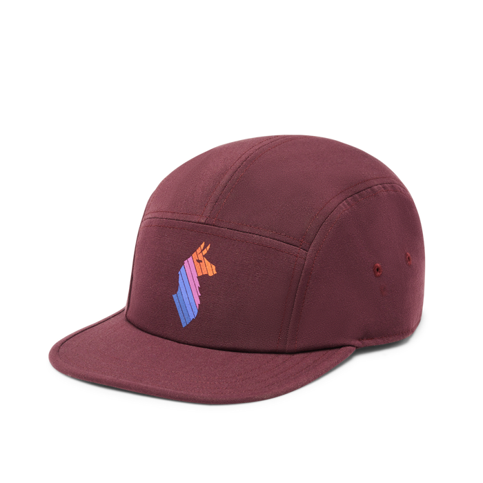 Casquette Cotopaxi Llama Stripes 5-Panel - Plein Air Entrepôt
