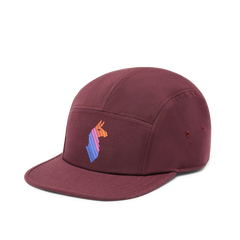 Casquette Cotopaxi Llama Stripes 5-Panel - Plein Air Entrepôt