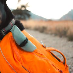 Hydrapak bol pour chien - Plein Air Entrepôt