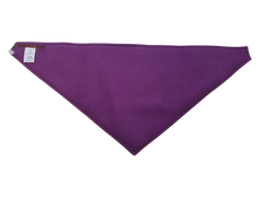 Bandana Cotopaxi Teca Fleece - Plein Air Entrepôt