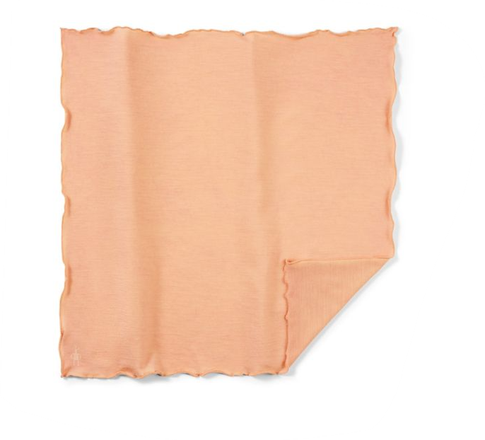 Smartwool Merino 150 PB Bandana - Plein Air Entrepôt